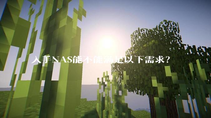 入手NAS能不能满足以下需求？